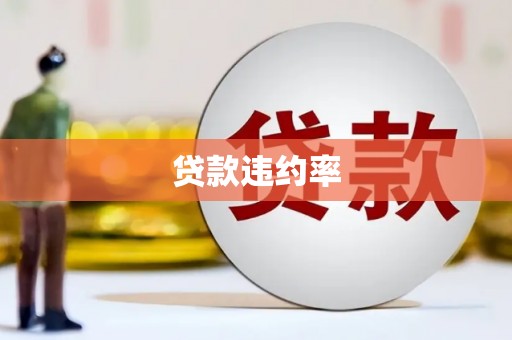 西区贷款违约率