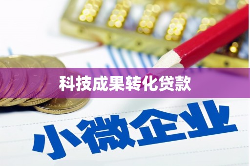 西区科技成果转化贷款