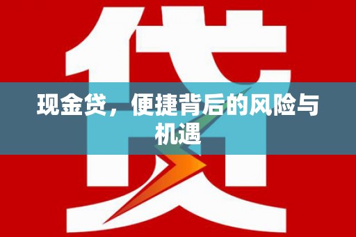 西区现金贷，便捷背后的风险与机遇