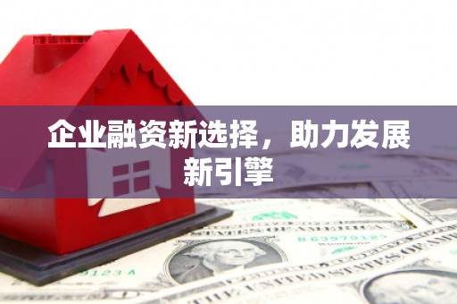 西区企业融资新选择，助力发展新引擎