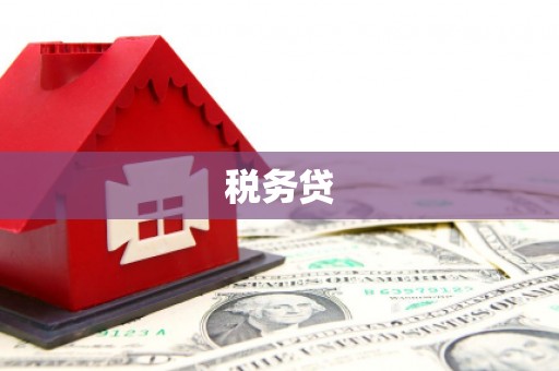 西区税务贷