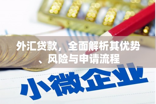 西区外汇贷款，全面解析其优势、风险与申请流程