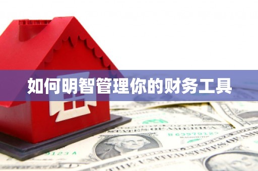 西区如何明智管理你的财务工具