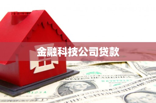 西区金融科技公司贷款