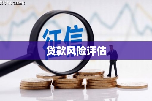 西区贷款风险评估