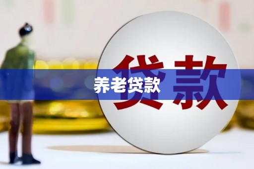 西区养老贷款