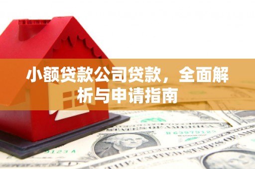西区小额贷款公司贷款，全面解析与申请指南