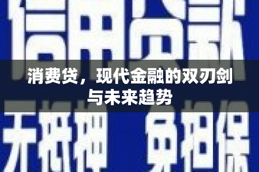 西区消费贷，现代金融的双刃剑与未来趋势