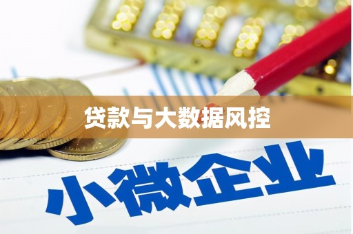 西区贷款与大数据风控