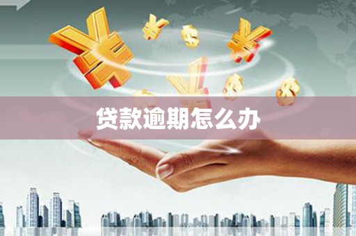 西区贷款逾期怎么办