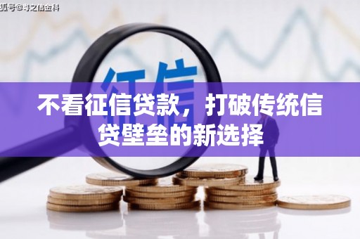 西区不看征信贷款，打破传统信贷壁垒的新选择