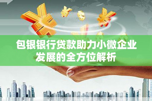 西区包银银行贷款助力小微企业发展的全方位解析