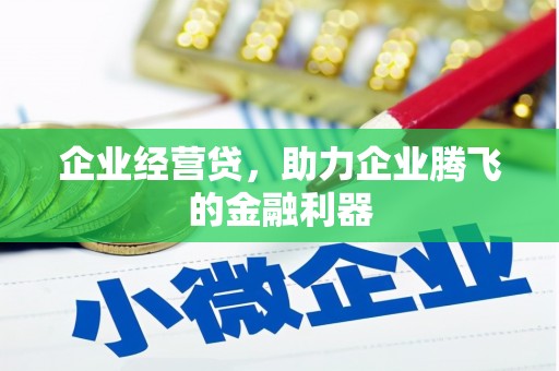 西区企业经营贷，助力企业腾飞的金融利器
