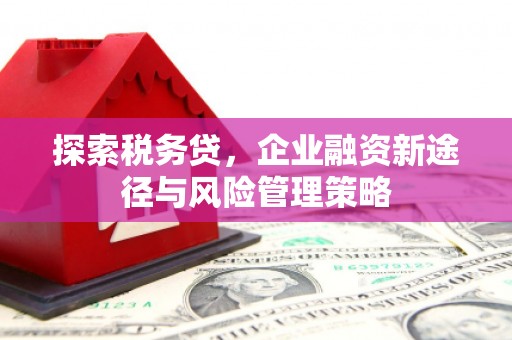 西区探索税务贷，企业融资新途径与风险管理策略