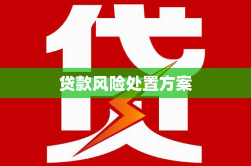 西区贷款风险处置方案