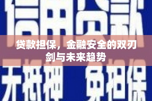 西区贷款担保，金融安全的双刃剑与未来趋势