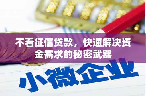 西区不看征信贷款，快速解决资金需求的秘密武器