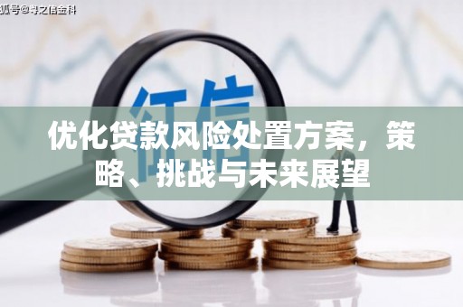 西区优化贷款风险处置方案，策略、挑战与未来展望