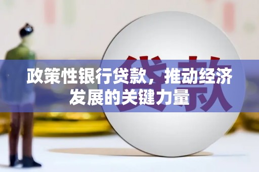 西区政策性银行贷款，推动经济发展的关键力量