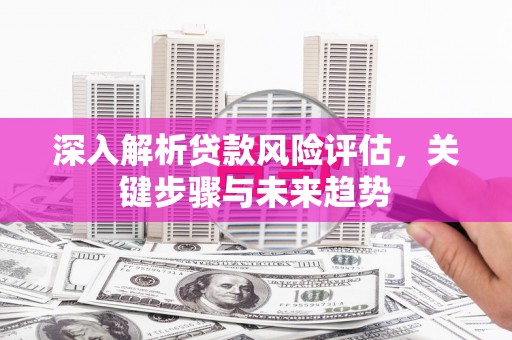 西区深入解析贷款风险评估，关键步骤与未来趋势