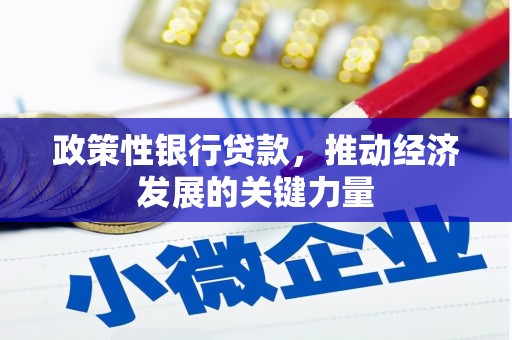 西区政策性银行贷款，推动经济发展的关键力量