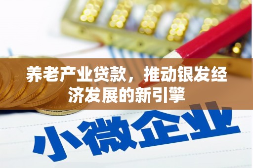 西区养老产业贷款，推动银发经济发展的新引擎