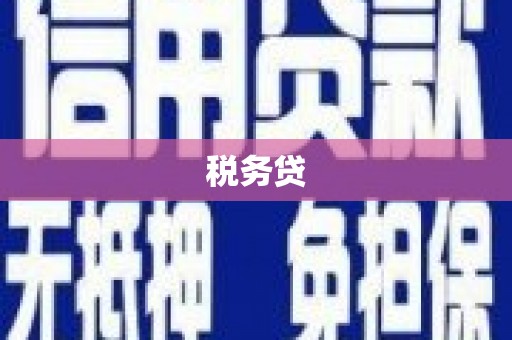 西区税务贷