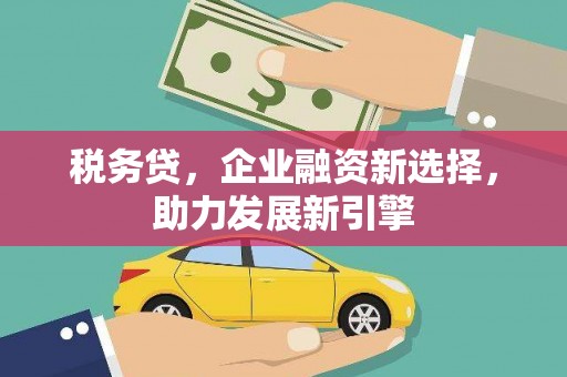 西区税务贷，企业融资新选择，助力发展新引擎