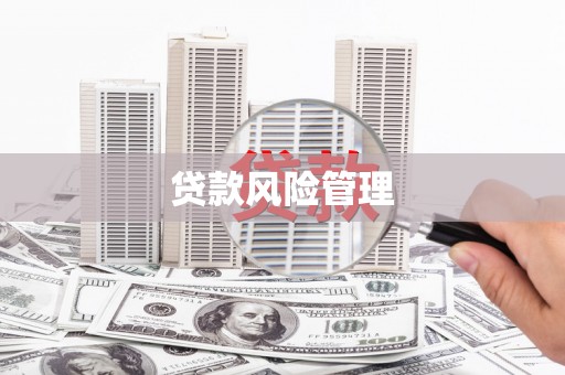 西区贷款风险管理