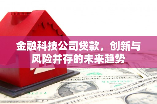 西区金融科技公司贷款，创新与风险并存的未来趋势