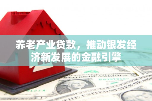 西区养老产业贷款，推动银发经济新发展的金融引擎