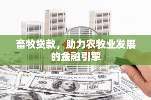 西区畜牧贷款，助力农牧业发展的金融引擎
