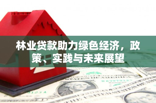 西区林业贷款助力绿色经济，政策、实践与未来展望