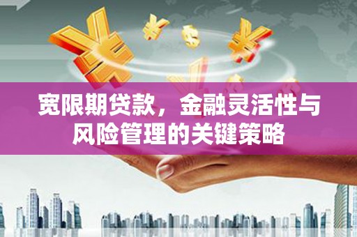 西区宽限期贷款，金融灵活性与风险管理的关键策略