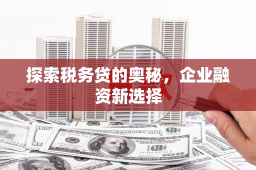 西区探索税务贷的奥秘，企业融资新选择
