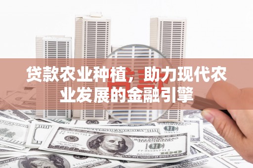 西区贷款农业种植，助力现代农业发展的金融引擎