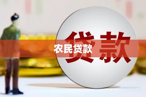 西区农民贷款