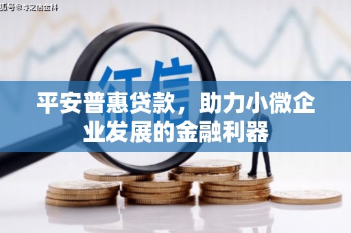 西区平安普惠贷款，助力小微企业发展的金融利器