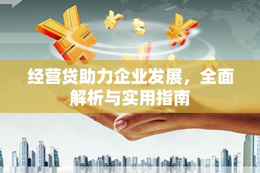 西区经营贷助力企业发展，全面解析与实用指南