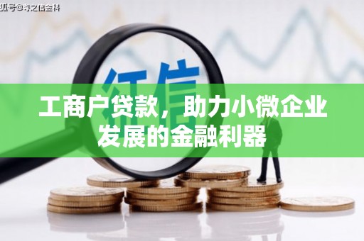 西区工商户贷款，助力小微企业发展的金融利器