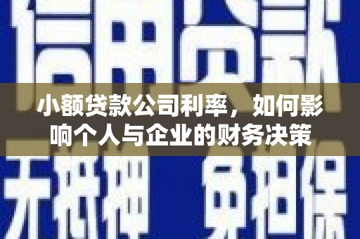 西区小额贷款公司利率，如何影响个人与企业的财务决策