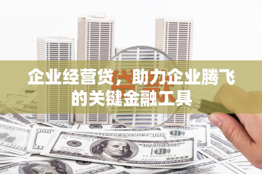 西区企业经营贷，助力企业腾飞的关键金融工具
