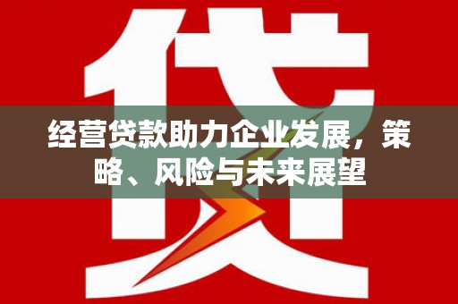 西区经营贷款助力企业发展，策略、风险与未来展望