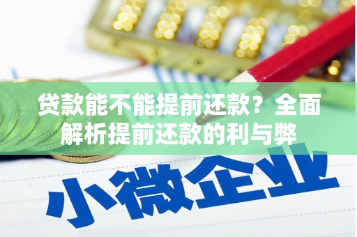 西区贷款能不能提前还款？全面解析提前还款的利与弊