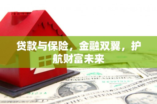 西区贷款与保险，金融双翼，护航财富未来
