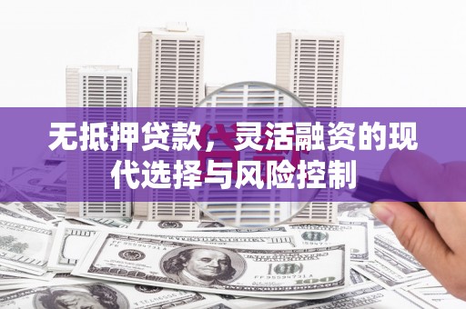 西区无抵押贷款，灵活融资的现代选择与风险控制