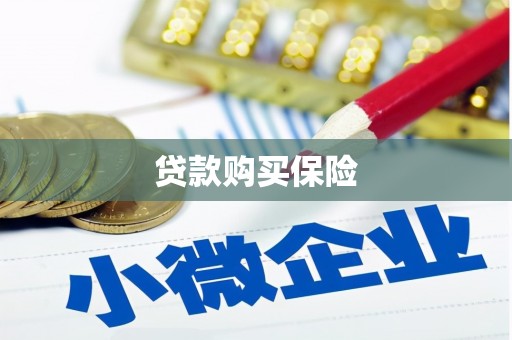西区贷款购买保险