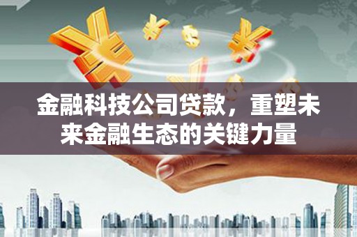 西区金融科技公司贷款，重塑未来金融生态的关键力量