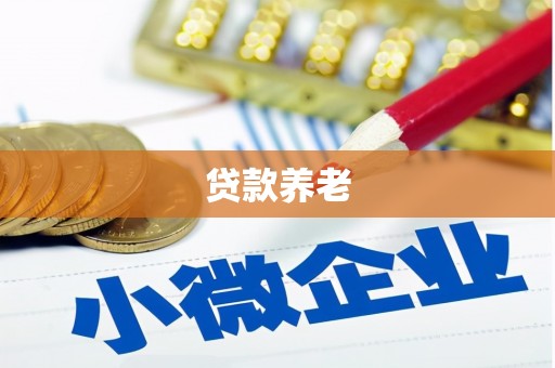西区贷款养老
