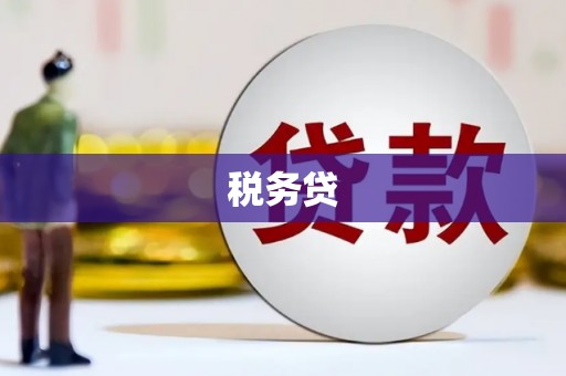 西区税务贷
